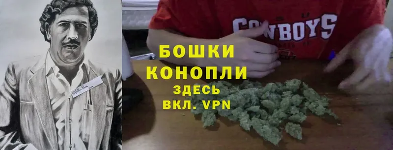 наркота  omg ссылки  Конопля SATIVA & INDICA  Бакал 